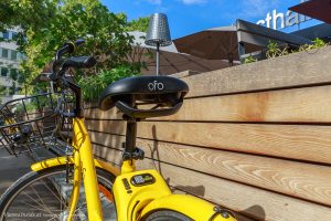 ofo